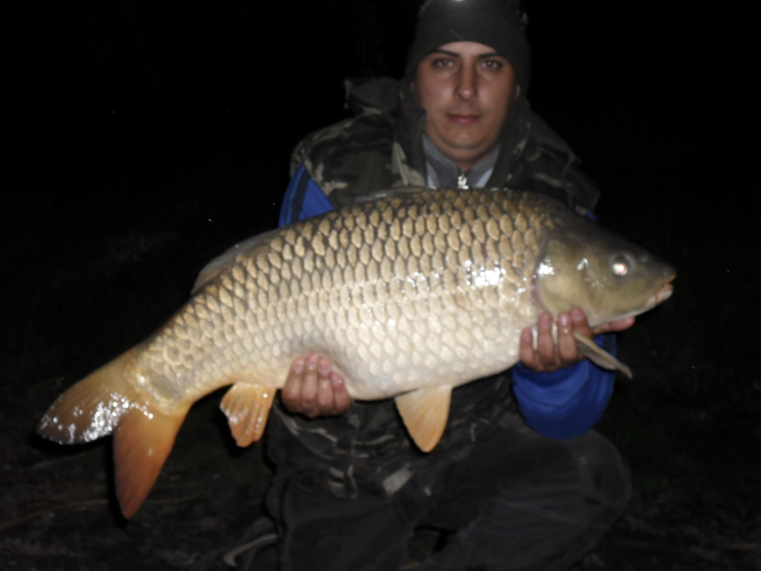 Palic 2012 primavara - SAM_0603.JPG